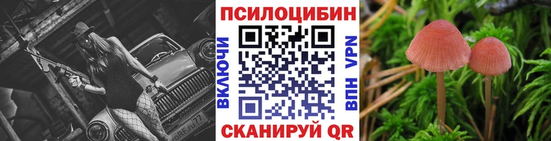 Псилоцибиновые грибы Magic Shrooms площадка наркотические препараты Вышний Волочёк